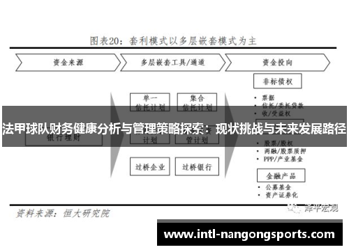法甲球队财务健康分析与管理策略探索：现状挑战与未来发展路径