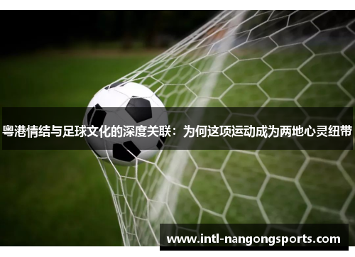 粤港情结与足球文化的深度关联:为何这项运动成为两地心灵纽带