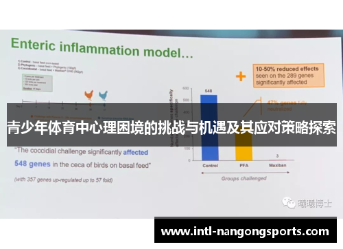 青少年体育中心理困境的挑战与机遇及其应对策略探索