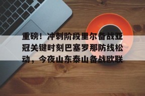 南宫APP下载-山东泰山追逐强力外援